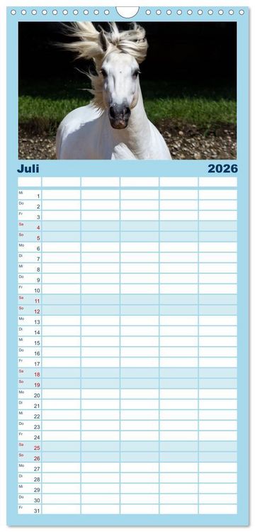 Produktbild: Familienplaner 2026 - Wei&szlig;e Pferde der Camargue in Bayern mit 5 Spalten (Wandkalender, 21 x 45 cm) CALVENDO