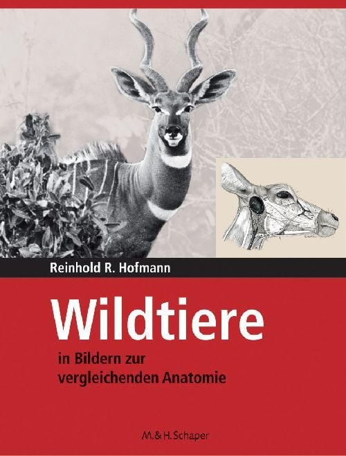 Produktbild: Wildtiere in Bildern zur Vergleichenden Anatomie