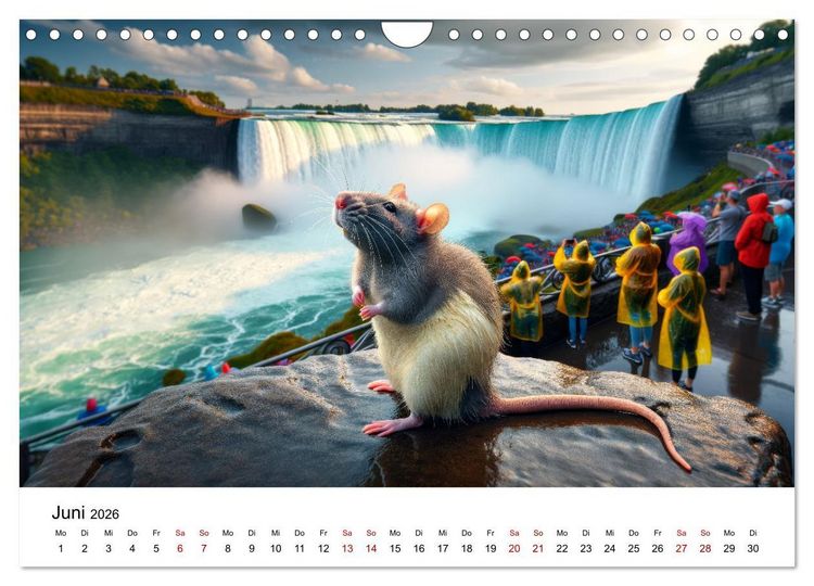 Produktbild: Ratten auf Reisen (Wandkalender 2026 DIN A4 quer), CALVENDO Monatskalender
