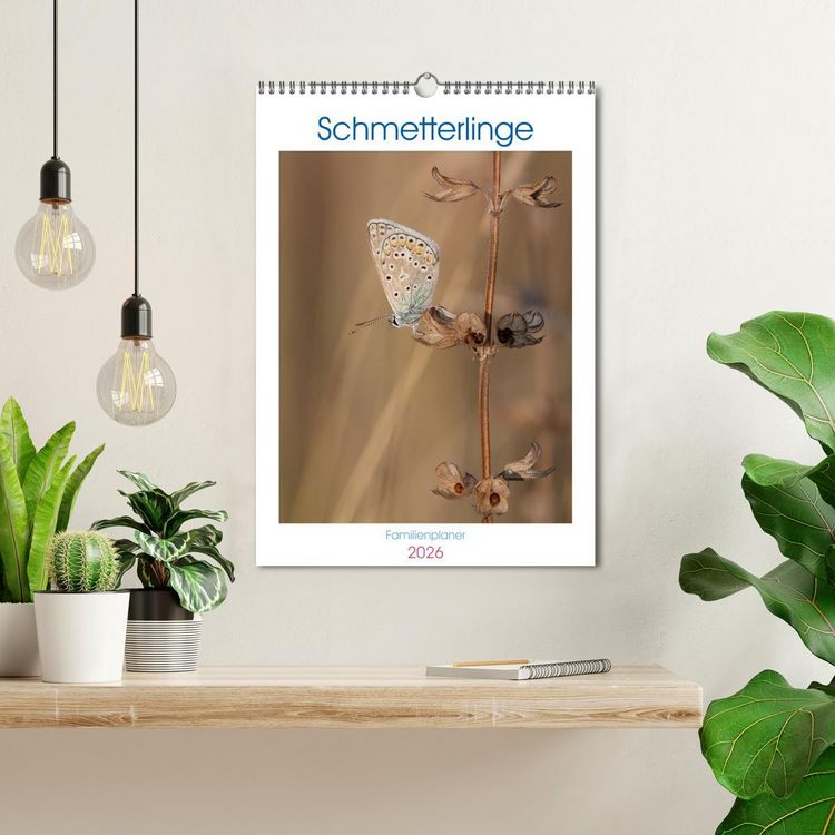 Produktbild: Schmetterlinge in Bayern (Wandkalender 2026 DIN A3 hoch), CALVENDO Monatskalender