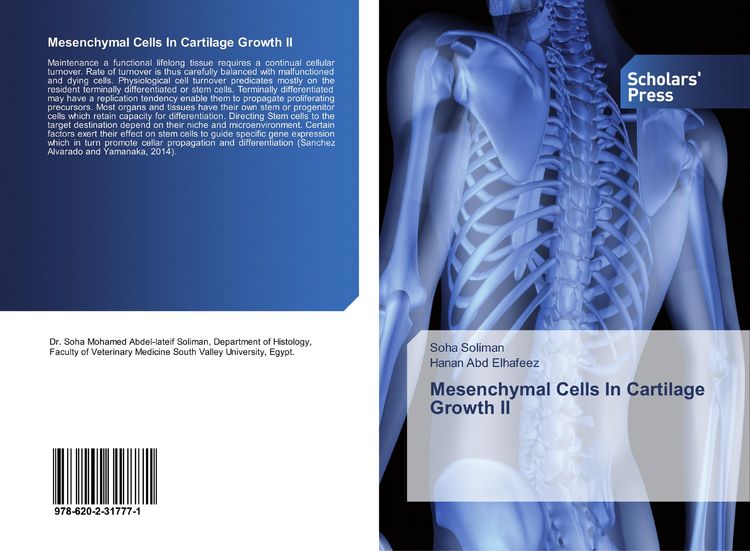 Produktbild: Mesenchymal Cells In Cartilage Growth II