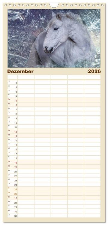 Produktbild: Familienplaner 2026 - Pferde zum Tr&auml;umen mit 5 Spalten (Wandkalender, 21 x 45 cm) CALVENDO