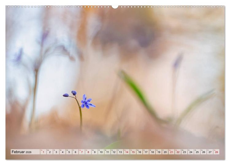 Produktbild: M&auml;rchenwelt der Wildblumen (Wandkalender 2026 DIN A2 quer), CALVENDO Monatskalender