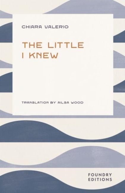 Produktbild: The Little I Knew