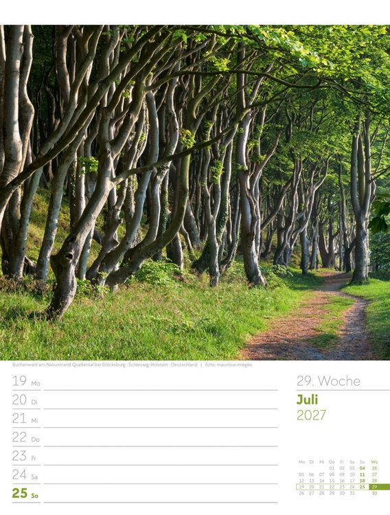 Produktbild: Unser Wald Wochenplaner Kalender 2027