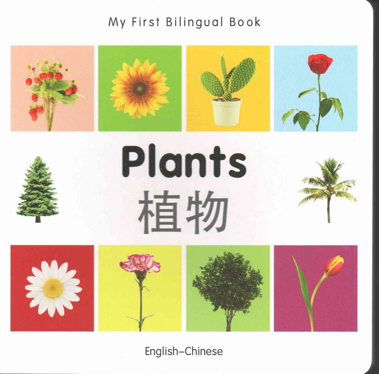 Produktbild: My First Bilingual Book-Plants (English-Chinese)
