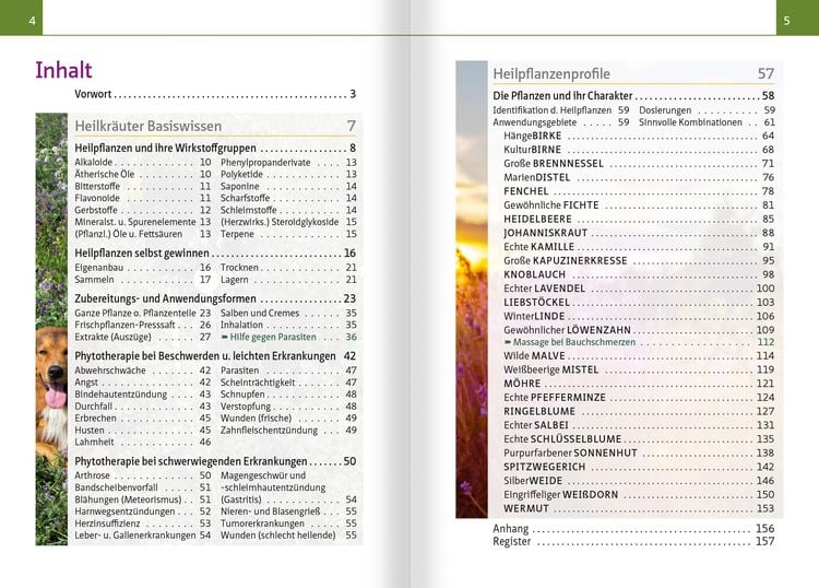 Produktbild: Grüne Hausapotheke für Hunde. Kompakt-Ratgeber