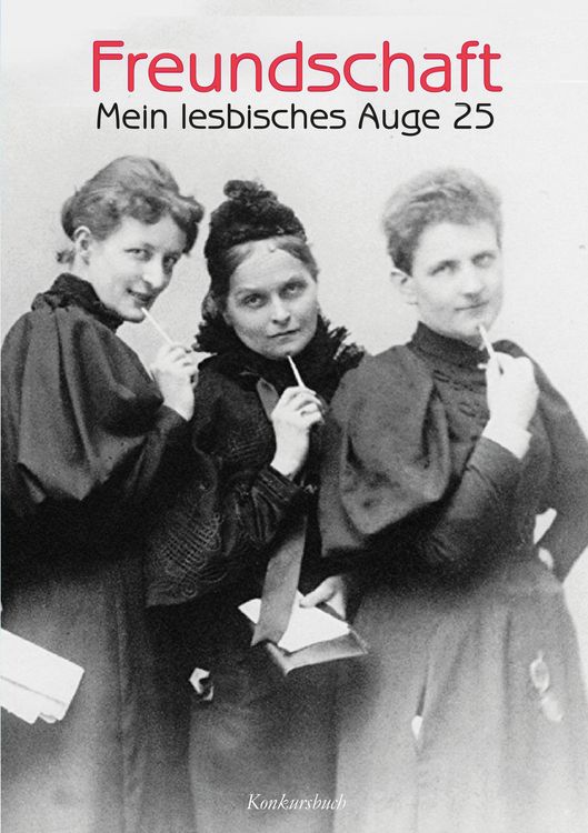 Produktbild: Mein lesbisches Auge 25: Freundschaft