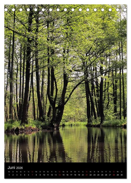 Produktbild: Land Brandenburg im Wechsel der Jahreszeiten (Tischkalender 2026 DIN A5 hoch), CALVENDO Monatskalender