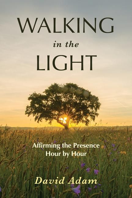 Produktbild: Walking in the Light