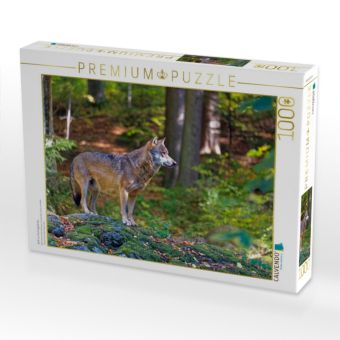 Produktbild: CALVENDO Puzzle Wolf im Tierfreigel&auml;nde | 1000 Teile Lege-Gr&ouml;&szlig;e 64x48cm Foto-Puzzle f&uuml;r gl&uuml;ckliche Stunden