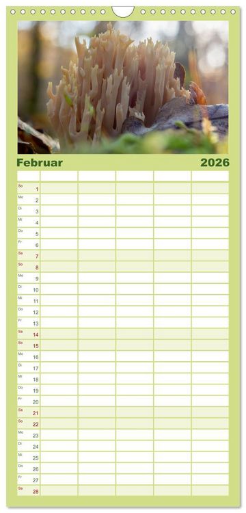 Produktbild: Familienplaner 2026 - Pilze in den Herbstw&auml;ldern mit 5 Spalten (Wandkalender, 21 x 45 cm) CALVENDO
