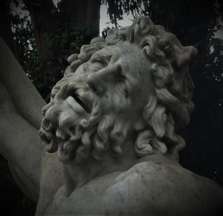 Produktbild: Poems that Salt the Eyes
