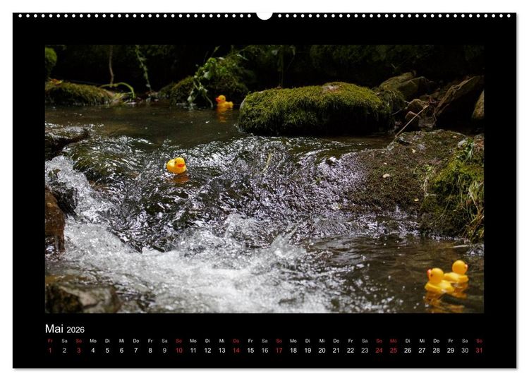 Produktbild: Enten-Rennen (hochwertiger Premium Wandkalender 2026 DIN A2 quer), Kunstdruck in Hochglanz