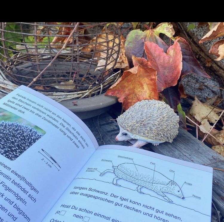 Produktbild: Ich kenne den Igel