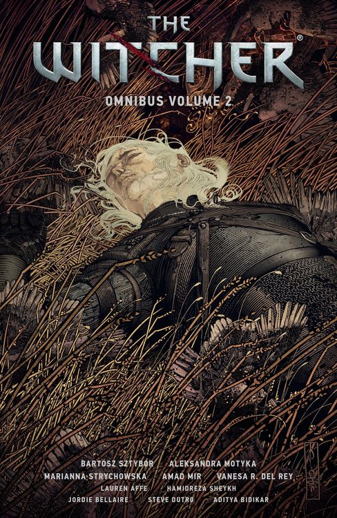 Produktbild: The Witcher Omnibus Volume 2