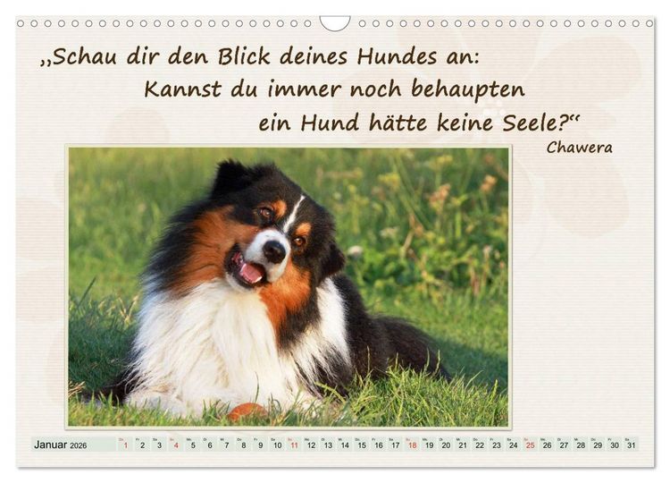 Produktbild: Mit Hundezitaten gut durchs Jahr / CH-Version (Wandkalender 2026 DIN A3 quer), CALVENDO Monatskalender