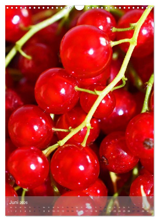 Produktbild: Blaubeeren, Himbeeren & Co - Makrofotografie in der K&uuml;che (Wandkalender 2026 DIN A3 hoch), CALVENDO Monatskalender
