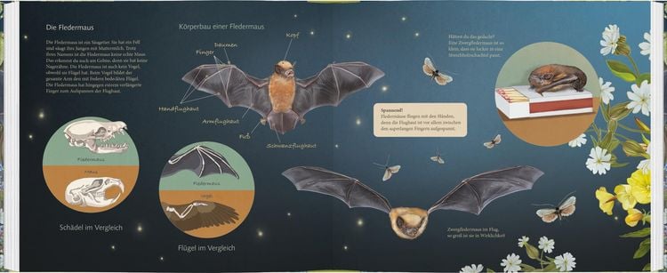 Produktbild: Ich bau dir ein Haus, kleine Fledermaus