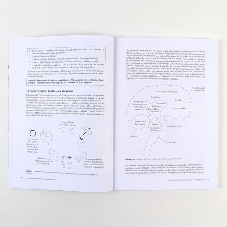 Produktbild: Therapie-Tools Impact-Techniken im Einzelsetting