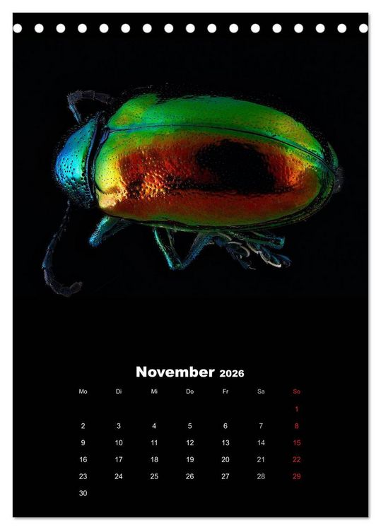 Produktbild: Schillernde Insektenwelt (Tischkalender 2026 DIN A5 hoch), CALVENDO Monatskalender