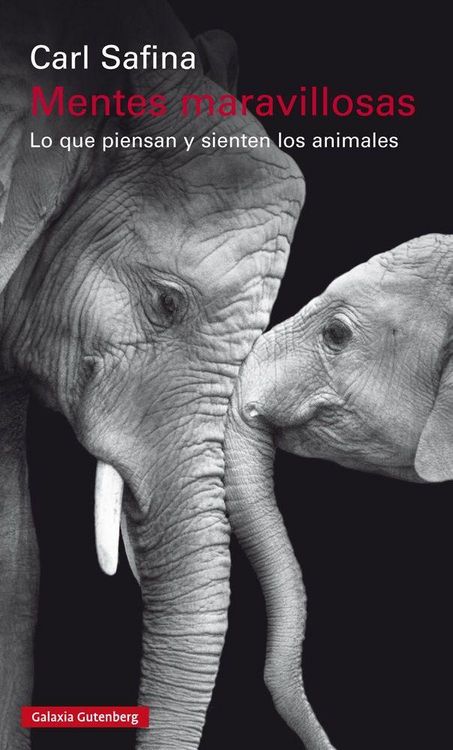 Produktbild: Mentes maravillosas : lo que piensan y sienten los animales