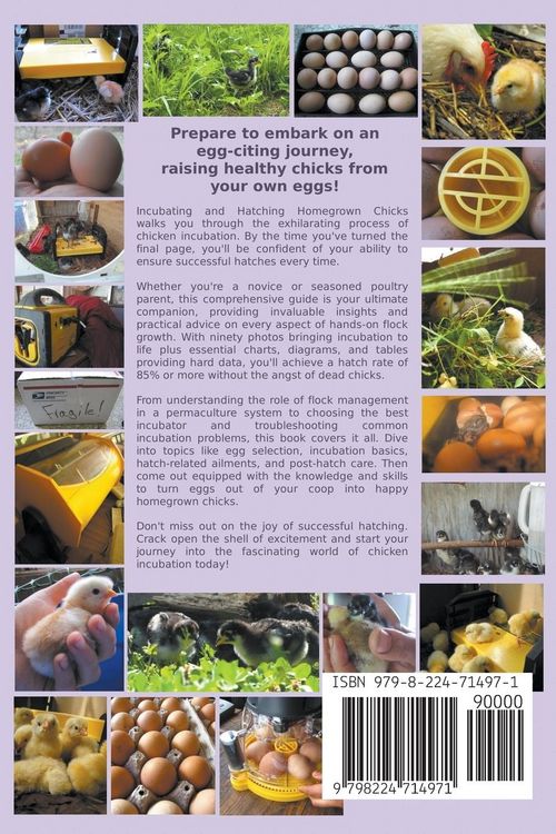 Produktbild: Incubating and Hatching Homegrown Chicks