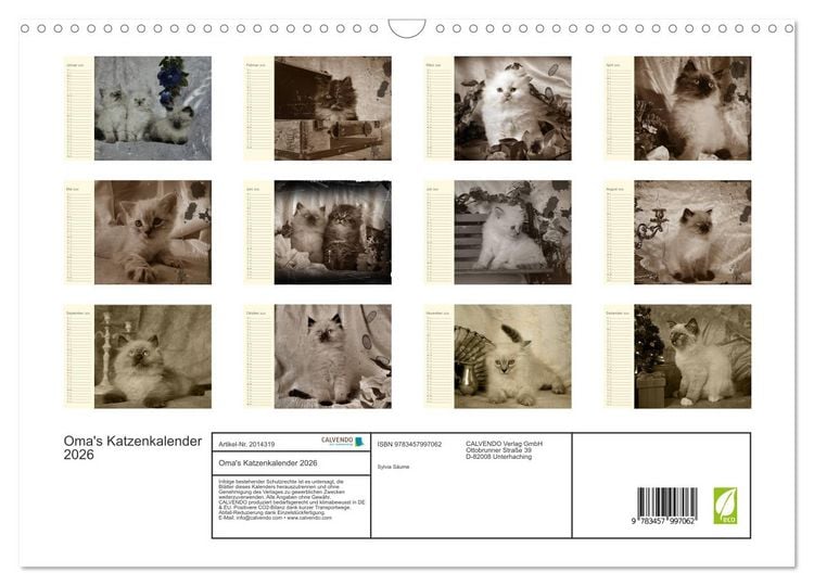 Produktbild: Oma's Katzenkalender 2026 (Wandkalender 2026 DIN A3 quer), CALVENDO Monatskalender