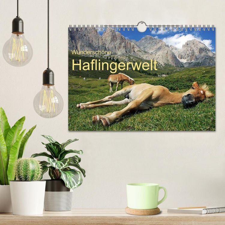 Produktbild: Wundersch&ouml;ne Haflingerwelt (Wandkalender 2027 DIN A4 quer), CALVENDO Monatskalender
