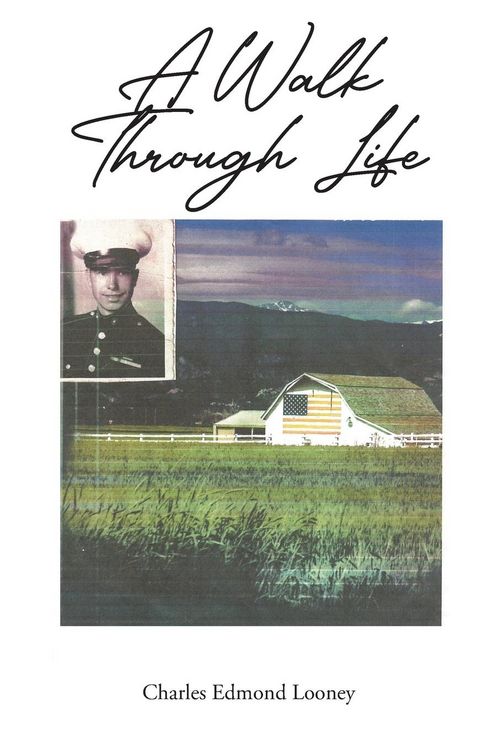 Produktbild: A Walk Through Life