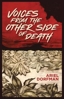 Produktbild: Voices from the Other Side of Death