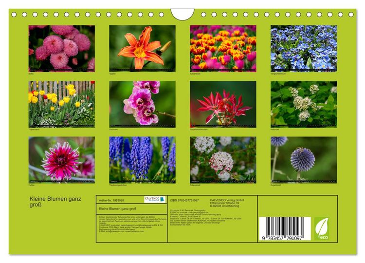Produktbild: Kleine Blumen ganz gro&szlig; (Wandkalender 2026 DIN A4 quer), CALVENDO Monatskalender