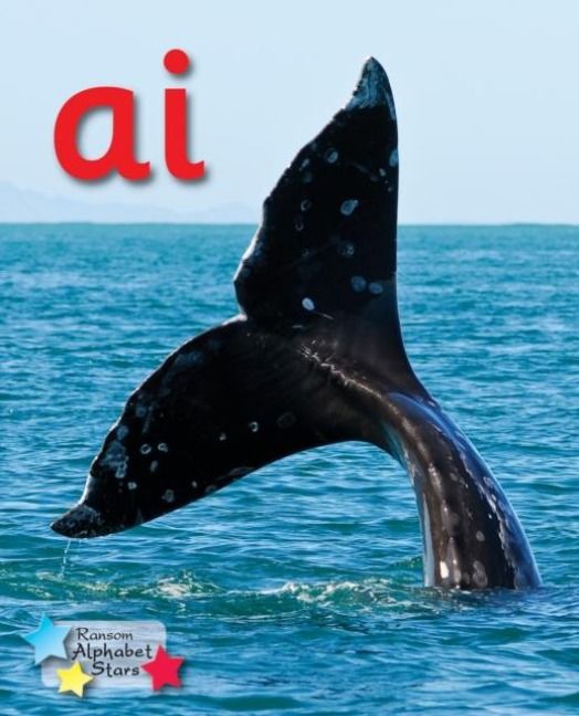 Produktbild: Rickard Stephen: Alpha Stars ai