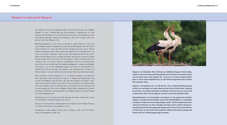 Produktbild: Der Wei&szlig;storch