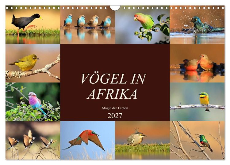 Produktbild: V&ouml;gel in Afrika - Magie der Farben (Wandkalender 2027 DIN A3 quer), CALVENDO Monatskalender