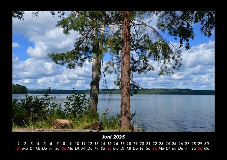 Produktbild: B&auml;ume 2025 Fotokalender DIN A3
