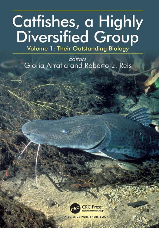 Produktbild: Catfishes, a Highly Diversified Group