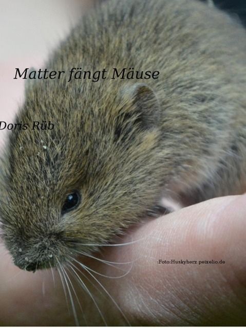 Produktbild: Matter f&auml;ngt M&auml;use