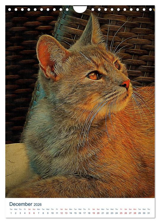 Produktbild: Umbrian Cats (Wall Calendar 2026 DIN A4 portrait), CALVENDO 12 Month Wall Calendar