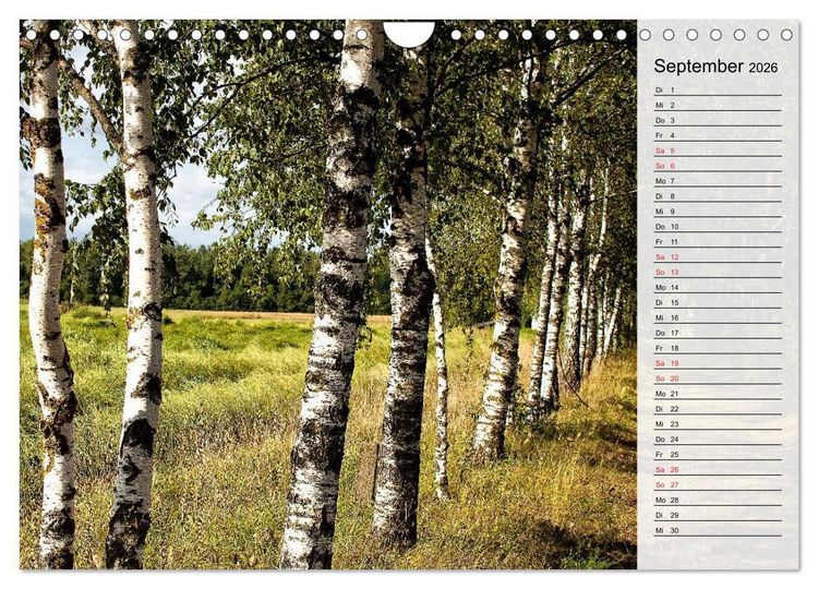 Produktbild: Litauen - Streifz&uuml;ge durch die junge Ostseerepublik (Wandkalender 2026 DIN A4 quer), CALVENDO Monatskalender