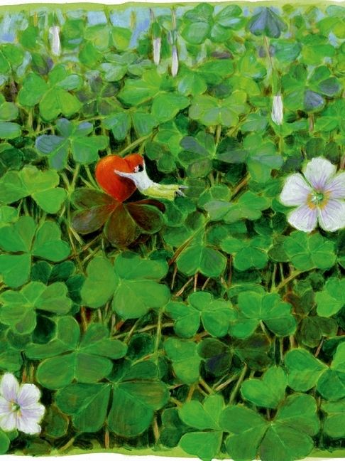 Produktbild: CALVENDO Puzzle Sein Gl&uuml;ck finden | 1000 Teile Lege-Gr&ouml;&szlig;e 64x48cm Foto-Puzzle f&uuml;r gl&uuml;ckliche Stunden