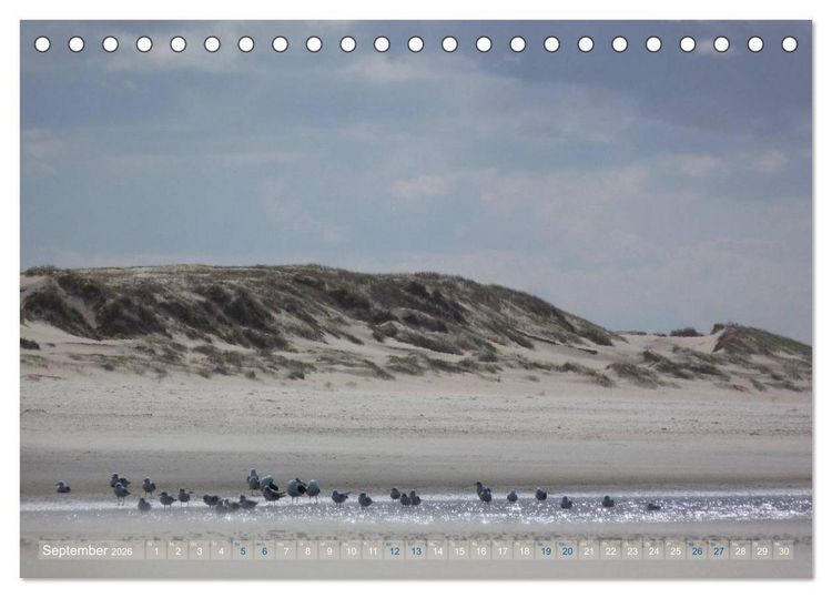 Produktbild: Texel. Neue D&uuml;nen (Tischkalender 2026 DIN A5 quer), CALVENDO Monatskalender