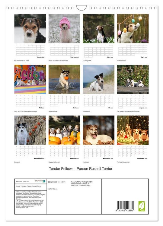 Produktbild: Tender Fellows - Parson Russell Terrier (Wandkalender 2026 DIN A3 hoch), CALVENDO Monatskalender