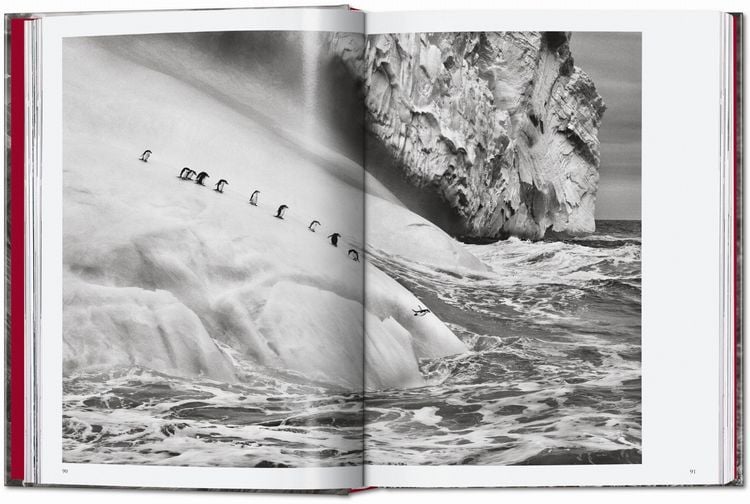 Produktbild: Sebasti&atilde;o Salgado