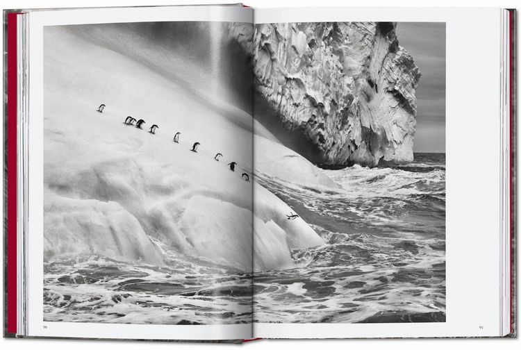 Produktbild: Sebasti&atilde;o Salgado