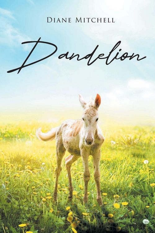 Produktbild: Dandelion