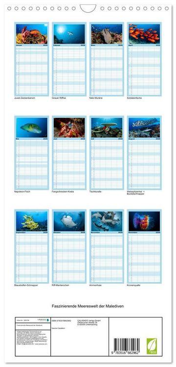 Produktbild: Familienplaner 2026 - Faszinierende Meereswelt der Malediven mit 5 Spalten (Wandkalender, 21 x 45 cm) CALVENDO