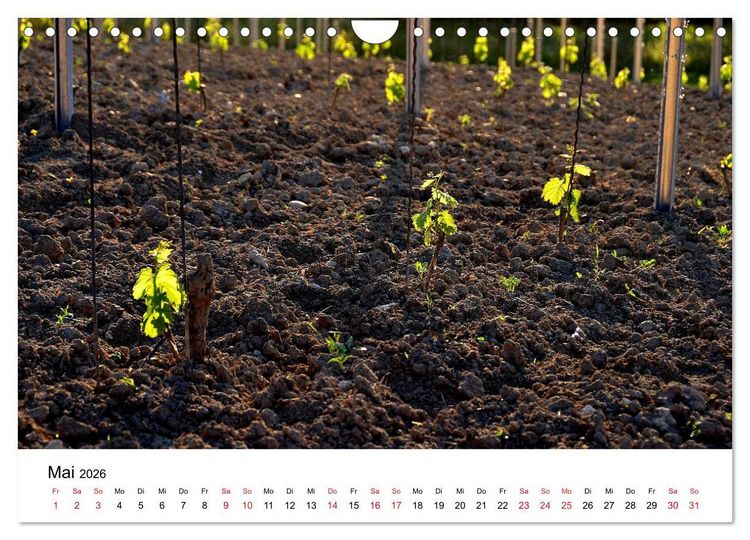 Produktbild: Impressionen vom Kaiserstuhl (Wandkalender 2026 DIN A4 quer), CALVENDO Monatskalender