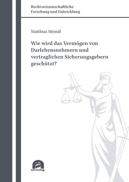 Produktbild: Wie wird das Verm&ouml;gen von Darlehensnehmern und vertraglichen Sicherungsgebern gesch&uuml;tzt?