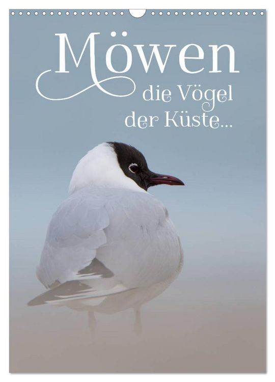 Produktbild: M&ouml;wen - die V&ouml;gel der K&uuml;ste (Wandkalender 2026 DIN A3 hoch), CALVENDO Monatskalender